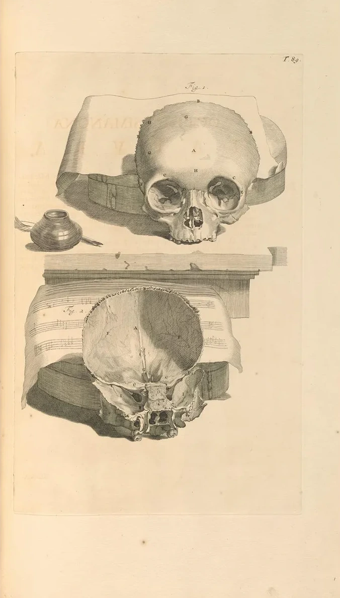 Anatomia Humani Corporis Pl.090