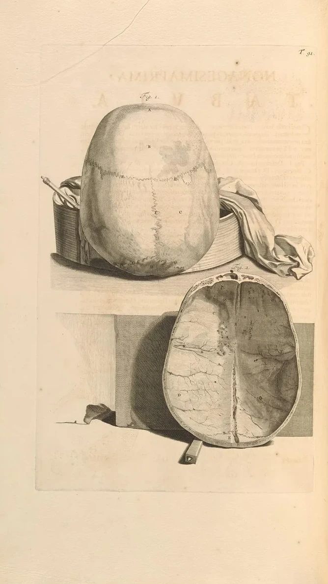 Anatomia Humani Corporis Pl.092