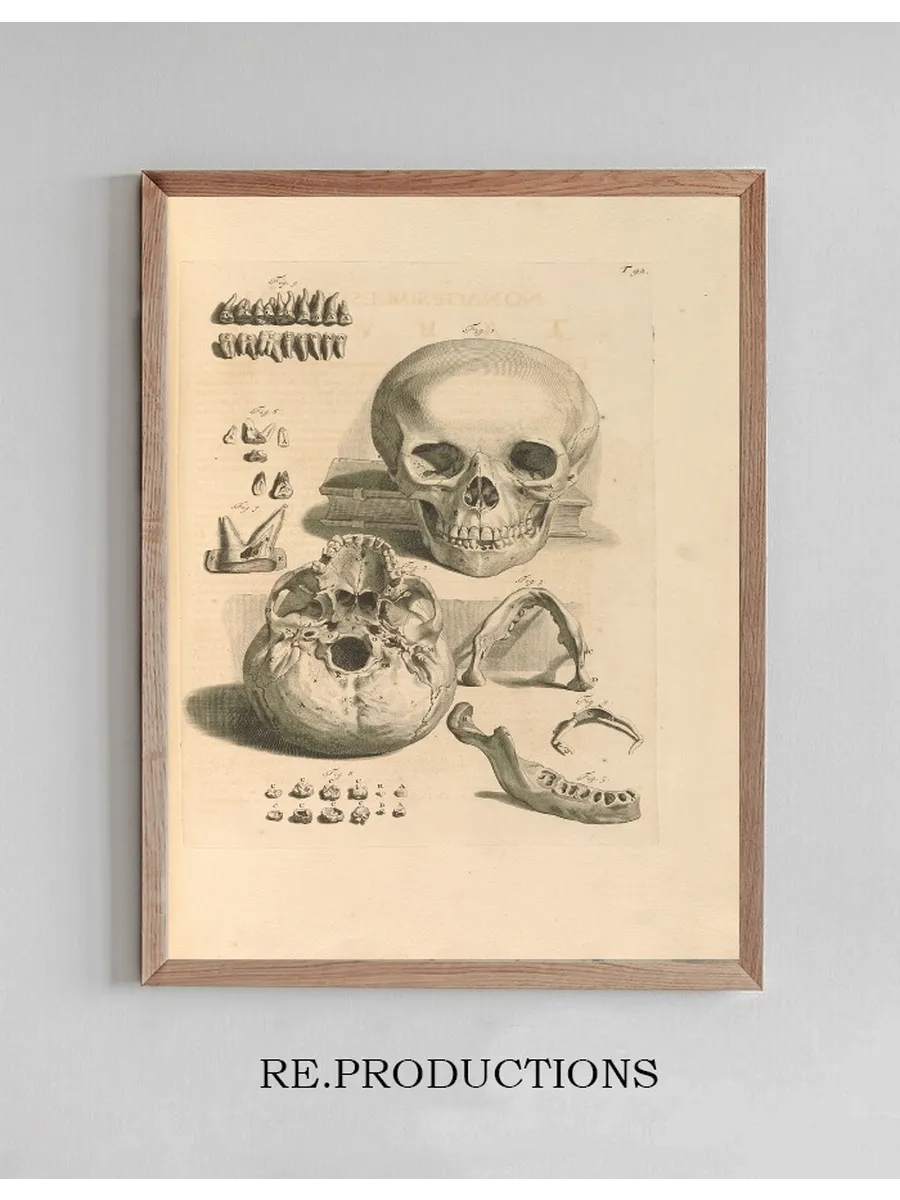 Anatomia Humani Corporis Pl.093
