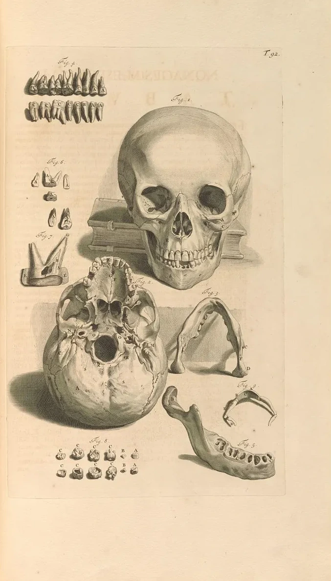 Anatomia Humani Corporis Pl.093