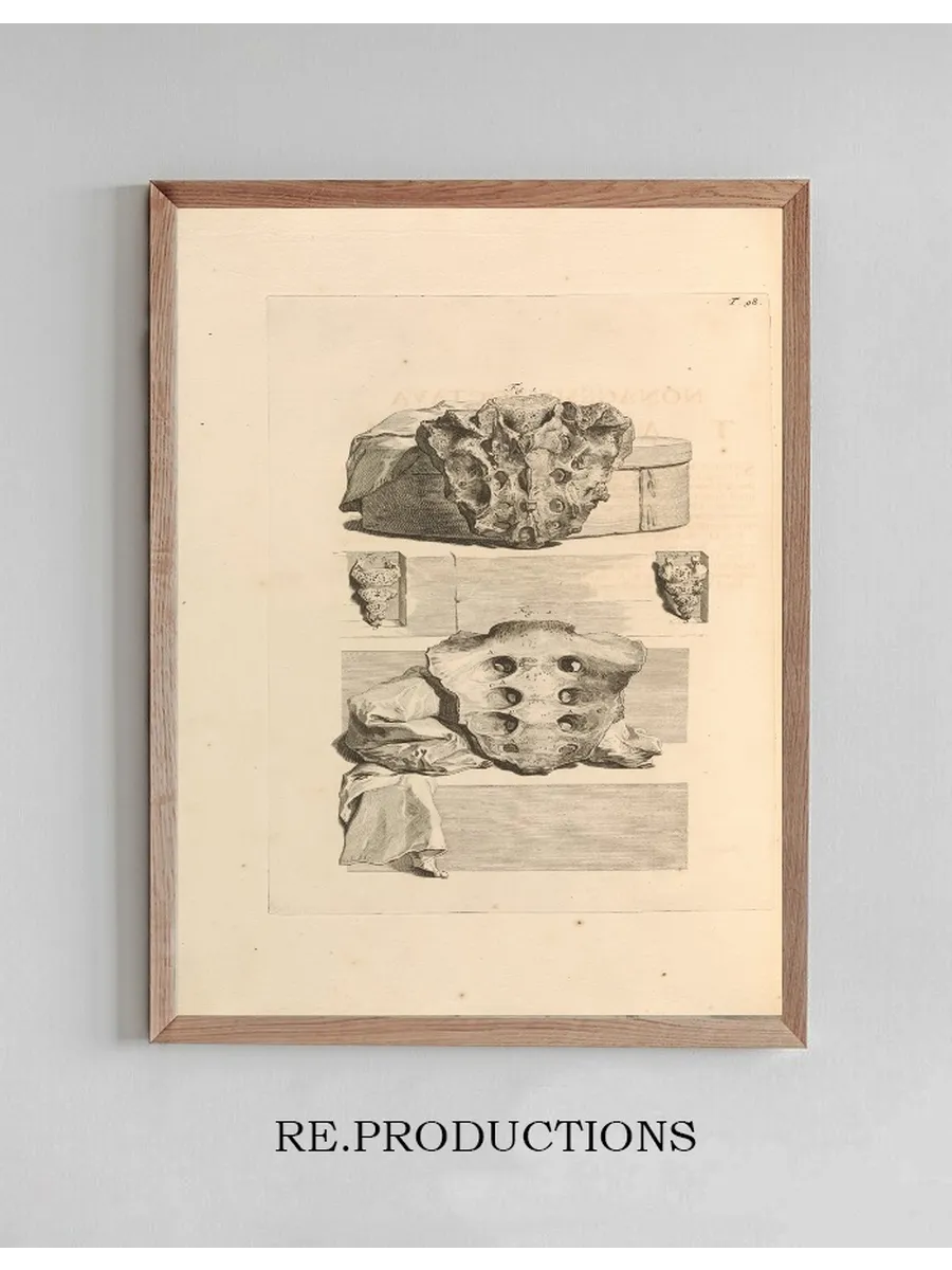 Anatomia Humani Corporis Pl.099