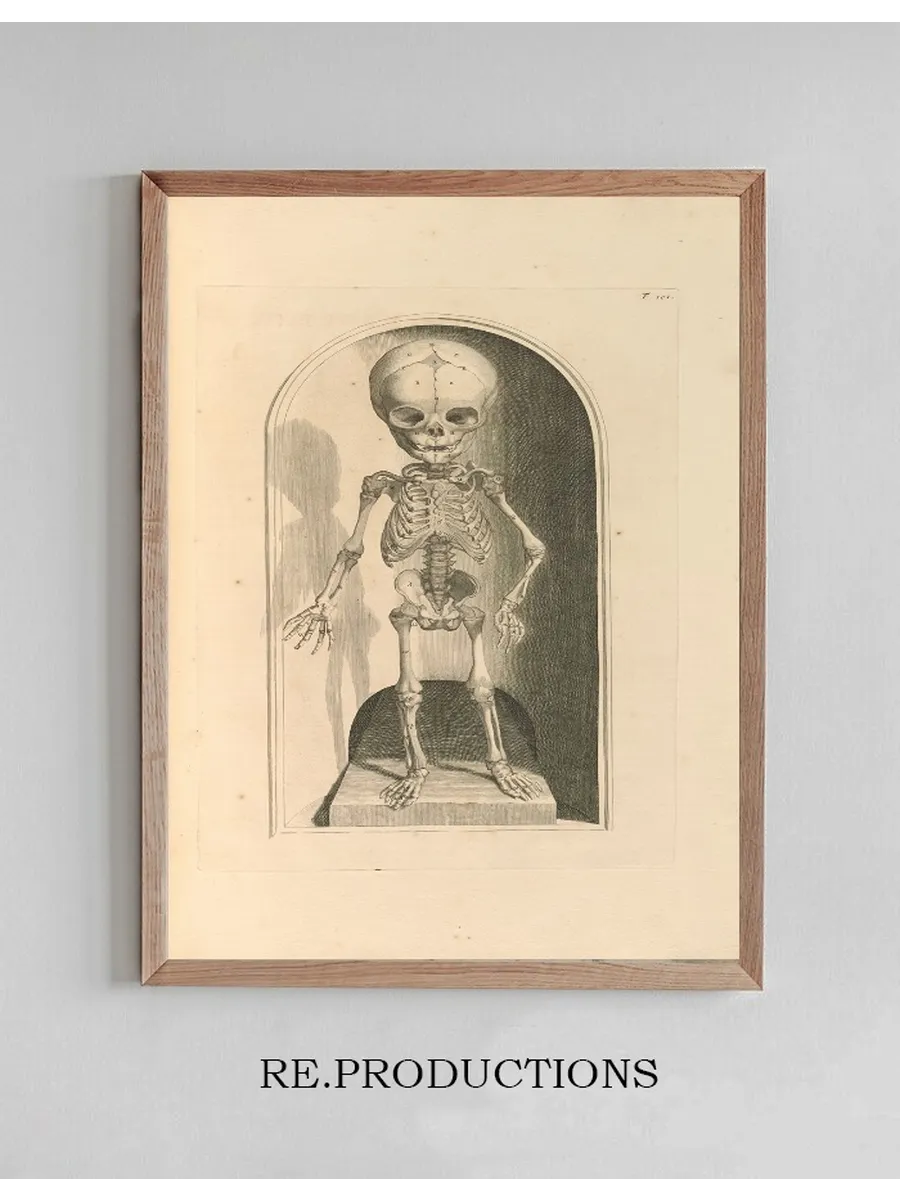 Anatomia Humani Corporis Pl.102