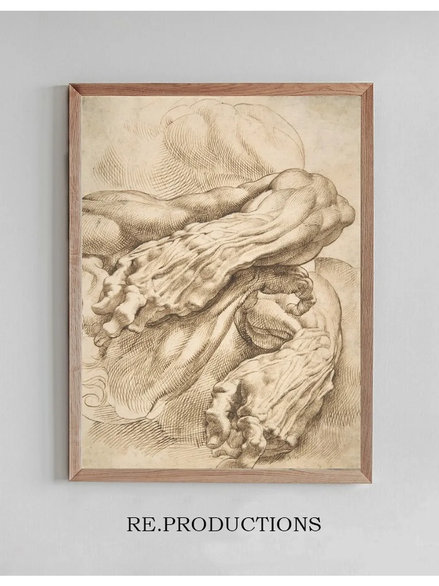 Anatomical Studies a Left Forearm in Two Positions and a Right Forearm