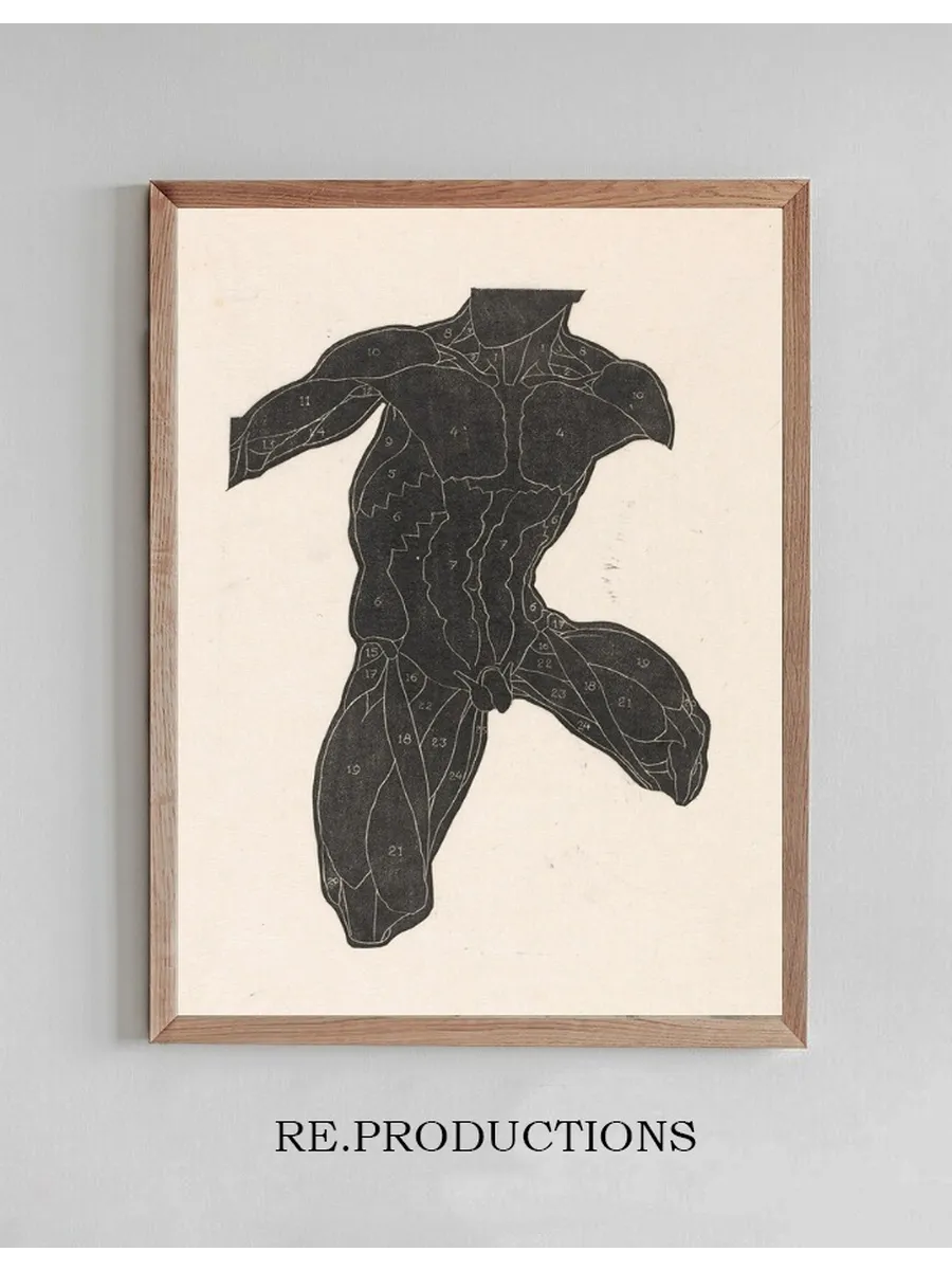 Anatomical Study of the Neck, Abdominal and Thigh Muscles of a Man in Silhouette