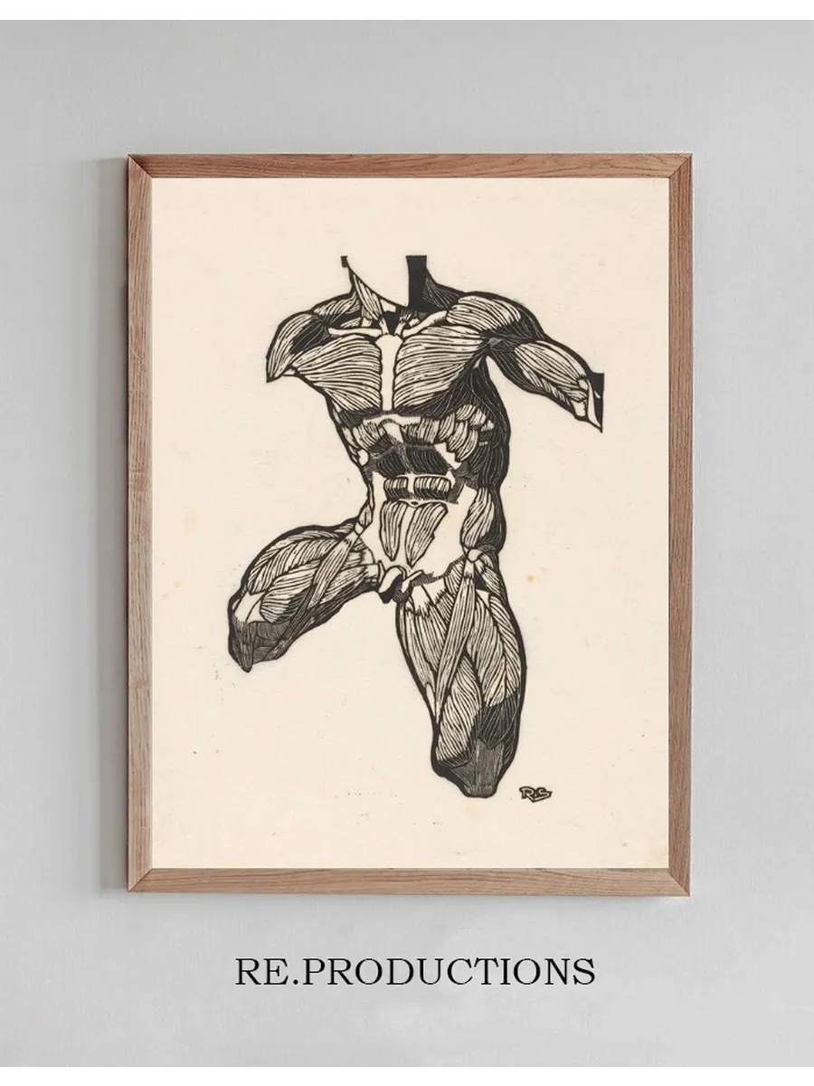 Anatomical Study of the Neck, Abdominal and Thigh Muscles of a Man