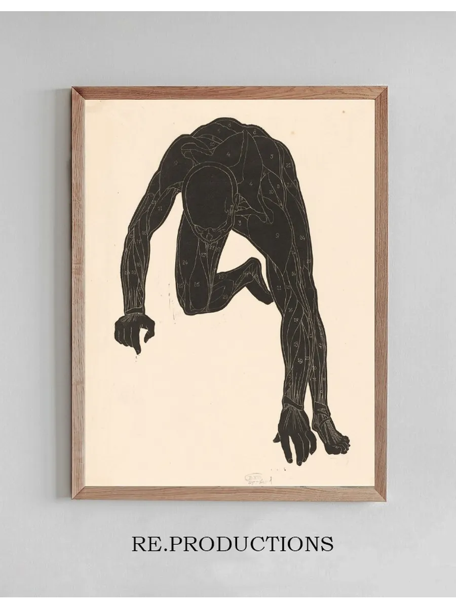 Anatomical Study of the Neck, Arm and Leg Muscles of a Man in Silhouette