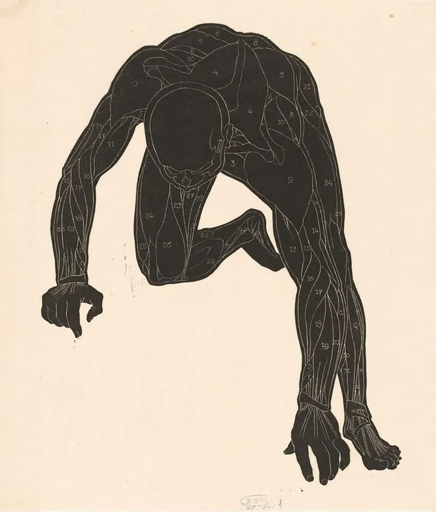 Anatomical Study of the Neck, Arm and Leg Muscles of a Man in Silhouette