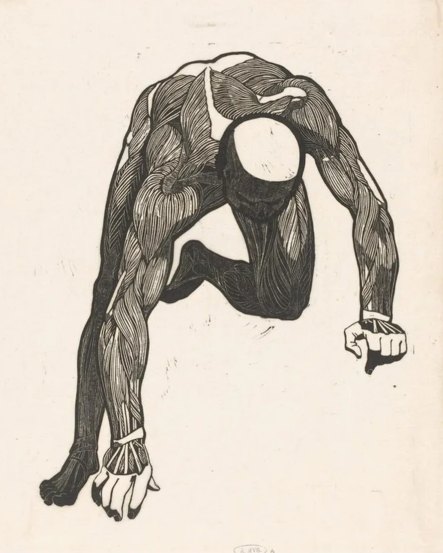 Anatomical Study of the Neck, Arm and Leg Muscles of a Man, Reijer Stolk