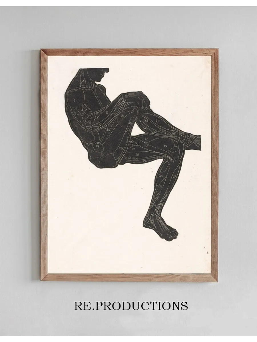 Anatomische Studie van de Been - En Armspieren van Een Man in Silhouet