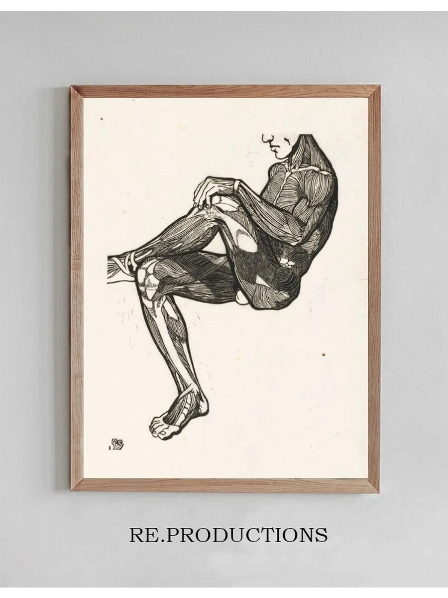 Anatomische Studie van de Been - En Armspieren van Een Man