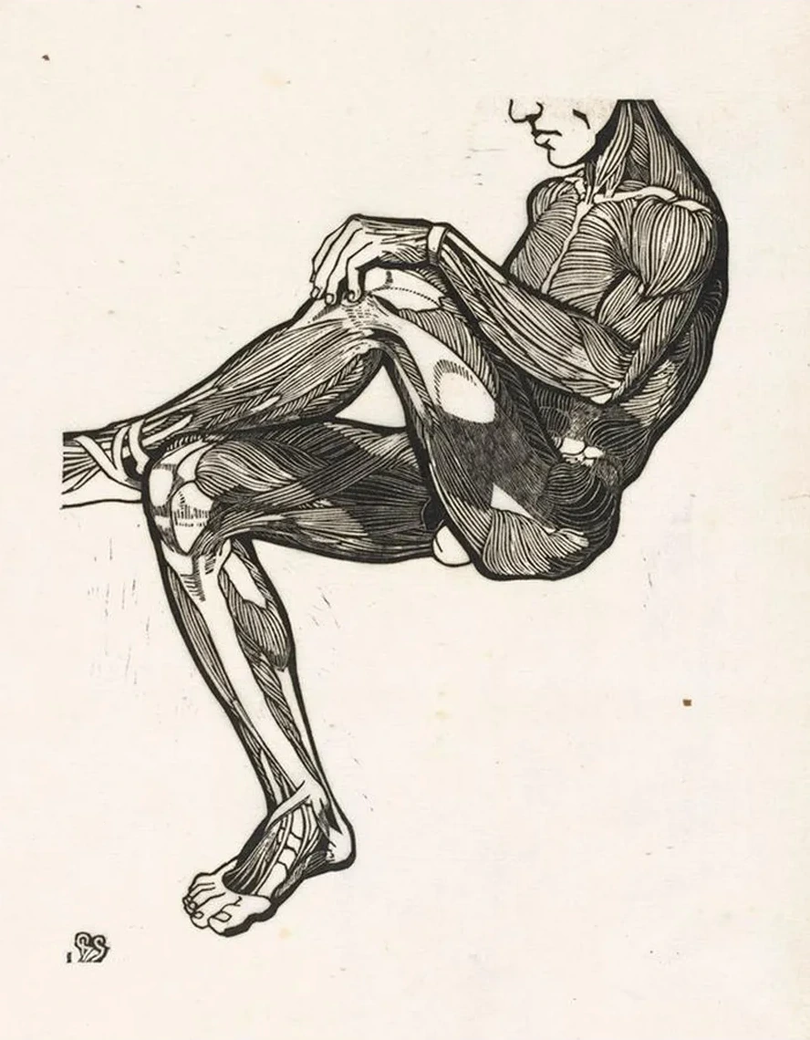 Anatomische Studie van de Been - En Armspieren van Een Man