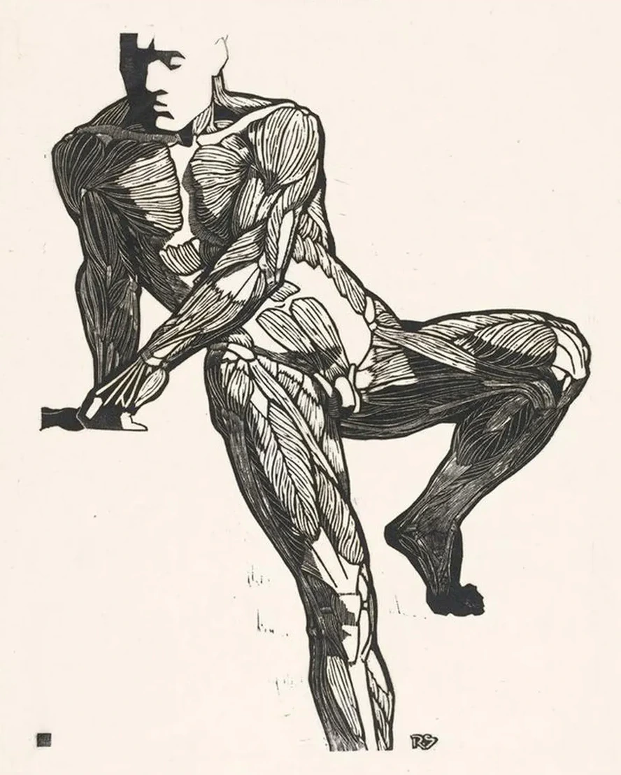 Anatomische Studie van de Borst -, Buik - En Beenspieren van Een Man
