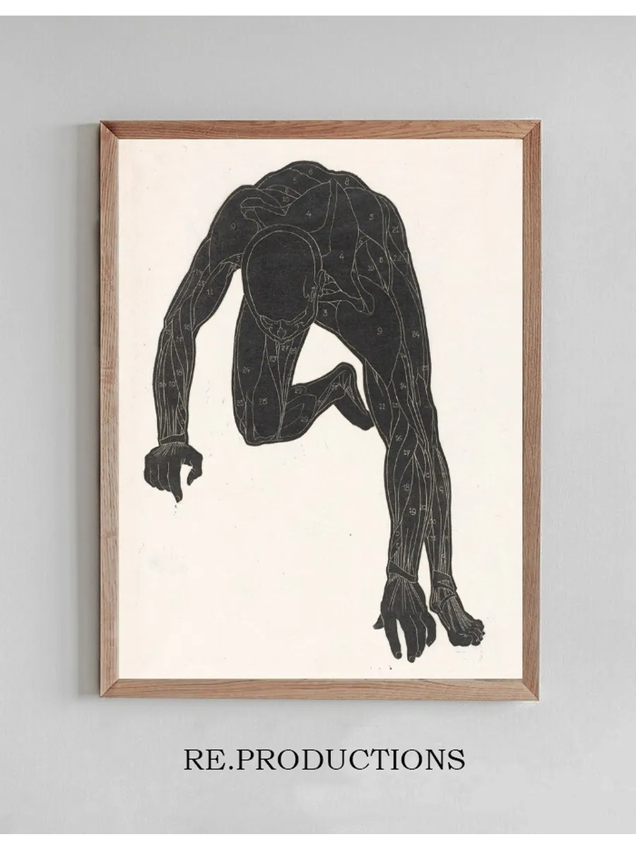 Anatomische Studie van de Hals -, Arm - En Beenspieren van Een Man in Silhouet