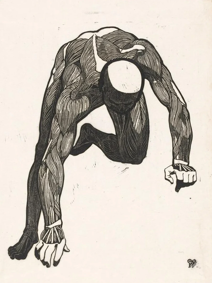 Anatomische Studie van de Hals -, Arm - En Beenspieren van Een Man