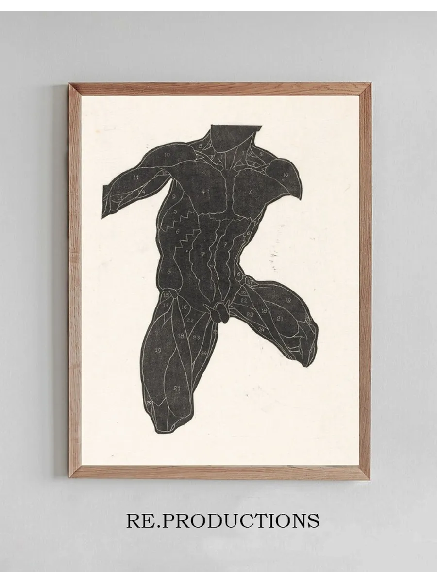 Anatomische Studie van de Nek -, Buik - En Bovenbeenspieren van Een Man in Silhouet