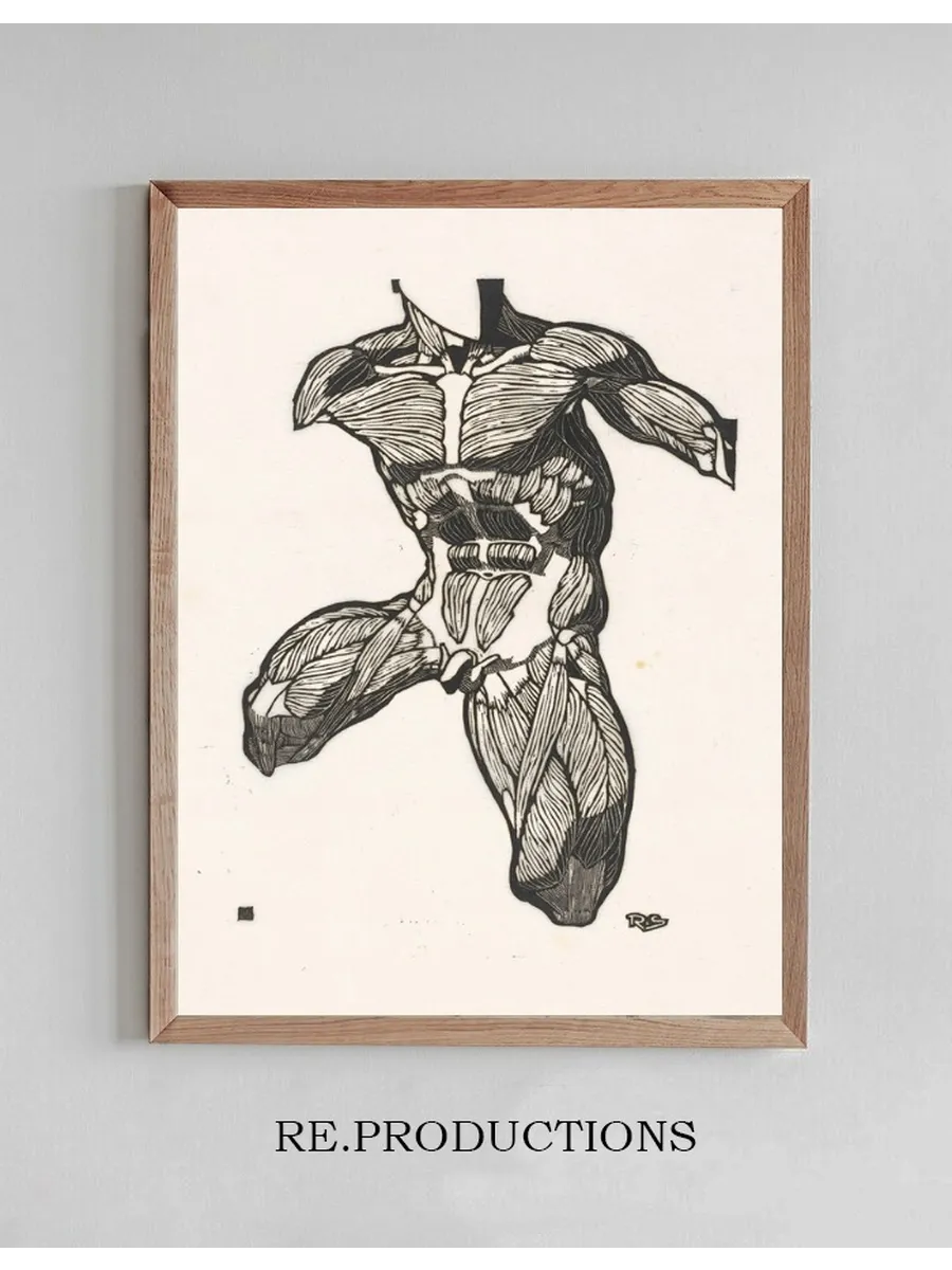 Anatomische Studie van de Nek -, Buik - En Bovenbeenspieren van Een Man