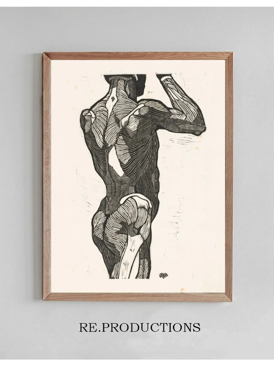 Anatomische Studie van de Rug - En Bilspieren van Een Man