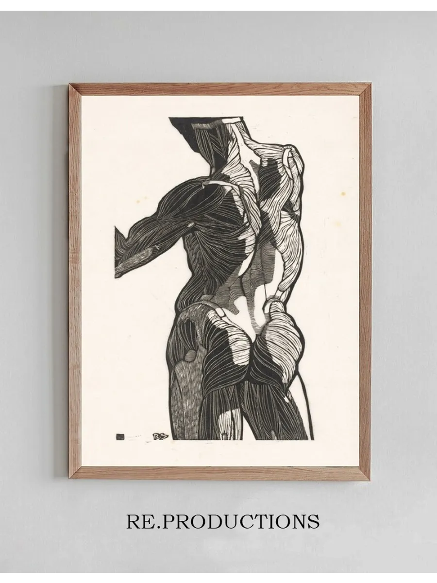 Anatomische Studie van de Rug - En Bilspieren van Een Man