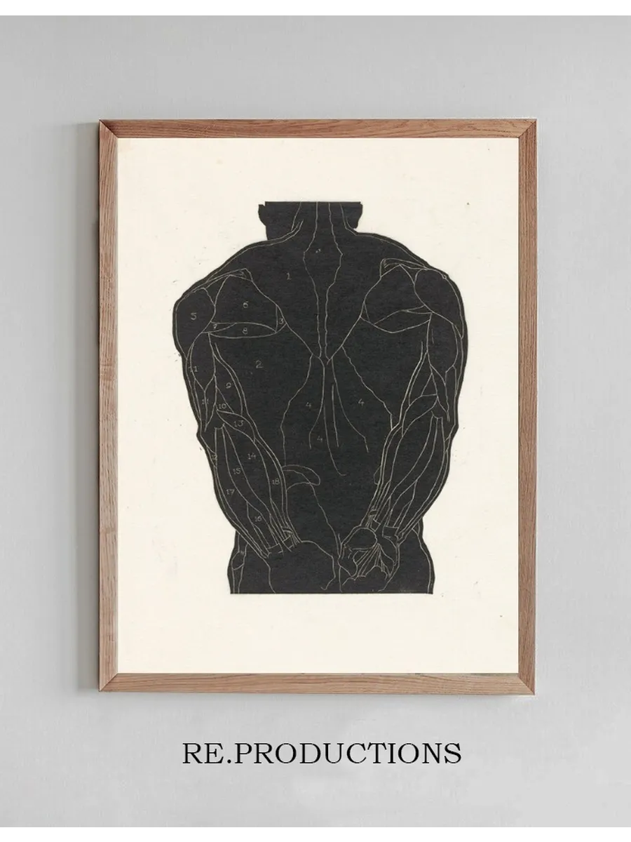 Anatomische Studie van de Rugspieren van Een Man in Silhouet