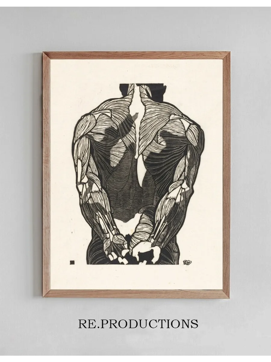 Anatomische Studie van de Rugspieren van Een Man