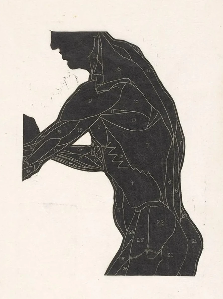 Anatomische Studie van de Zij - En Armspieren van Een Man in Silhouet