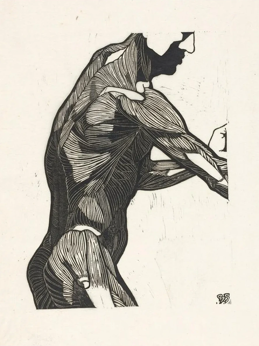 Anatomische Studie van de Zij - En Armspieren van Een Man