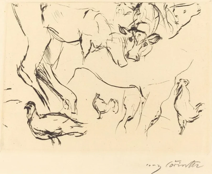 Animal Studies (verschiedene Tierstudien)