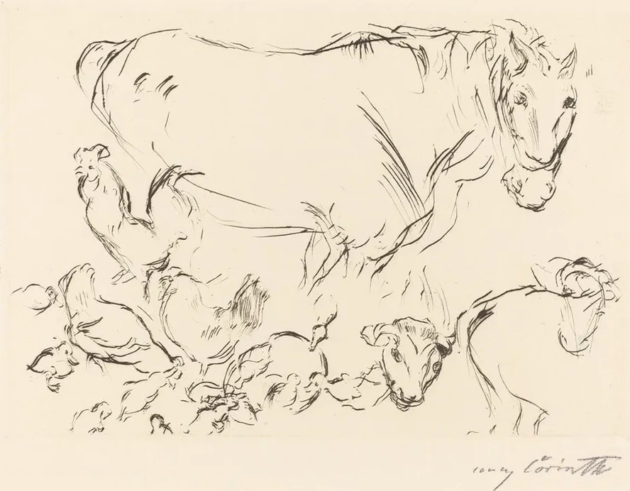 Animal Studies (verschiedene Tierstudien)