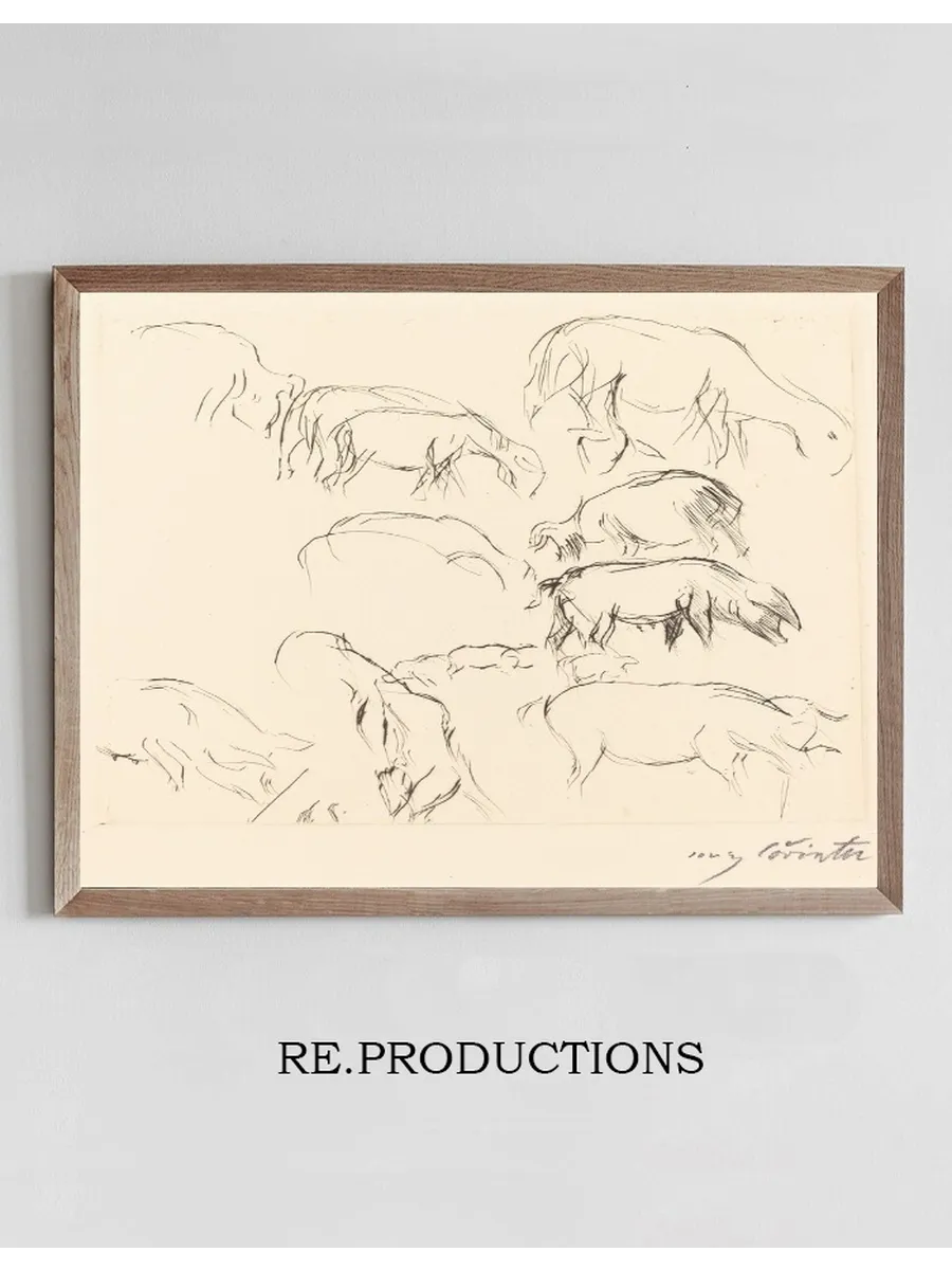 Animal Studies (verschiedene Tierstudien)