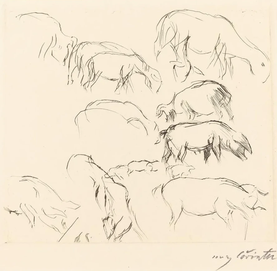 Animal Studies (verschiedene Tierstudien)