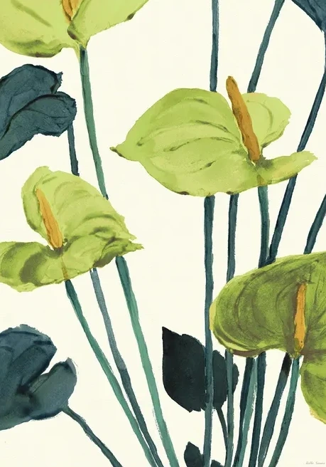Anthurium Green