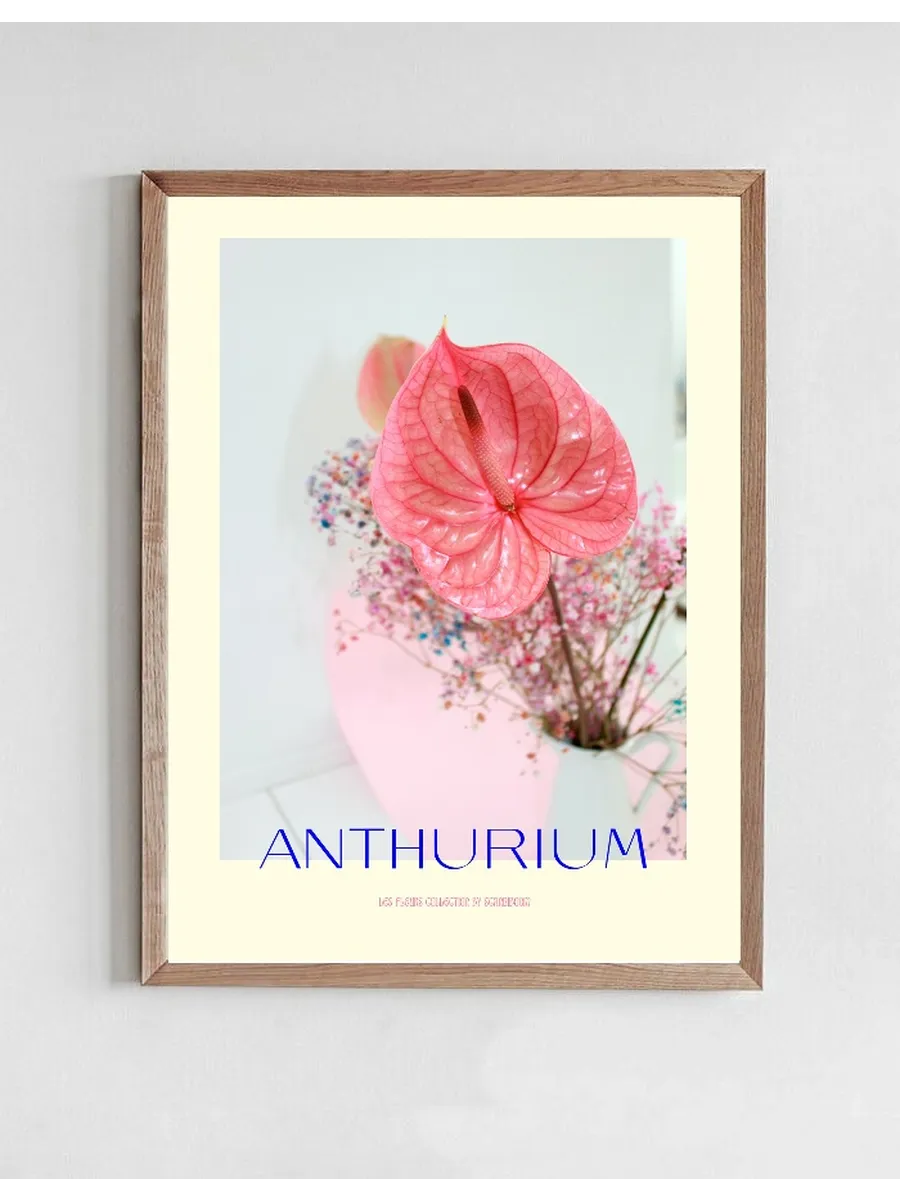 Anthurium I