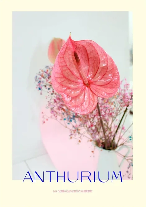 Anthurium I