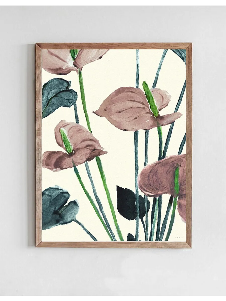 Anthurium Pink
