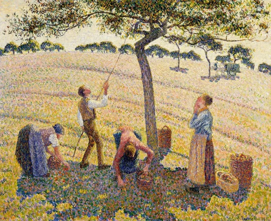 Apple Harvest