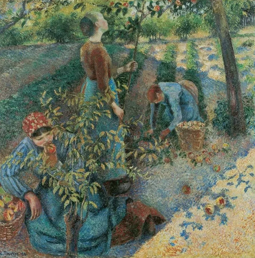 Apple Picking