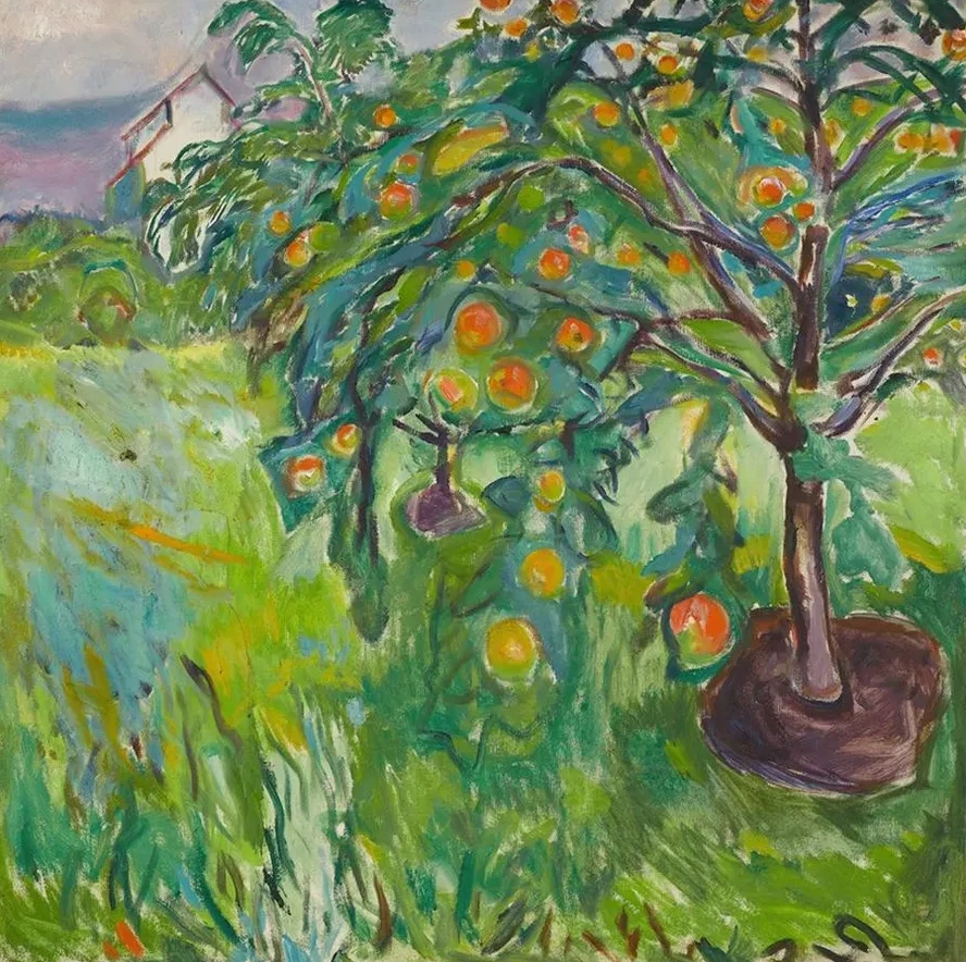 Apple Tree By The Studio