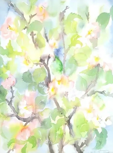 Appleblossom 2