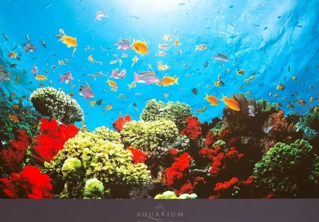 Aquarium