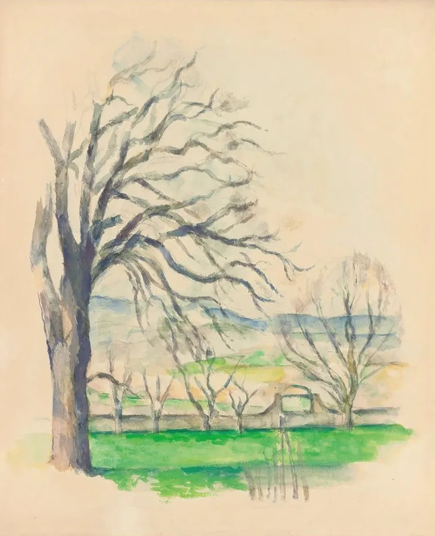 Arbre D pouill AuJas De Bouffan