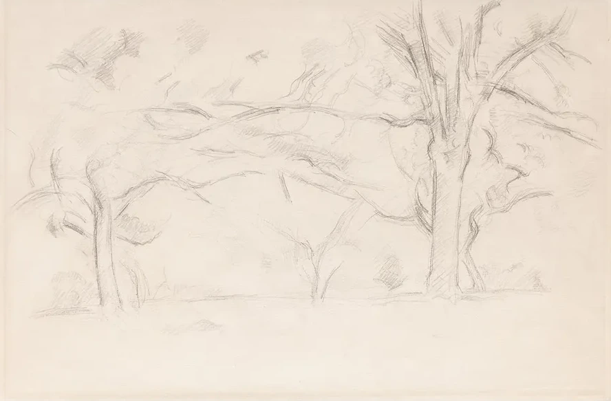 Arbres au Jas de Bouffan