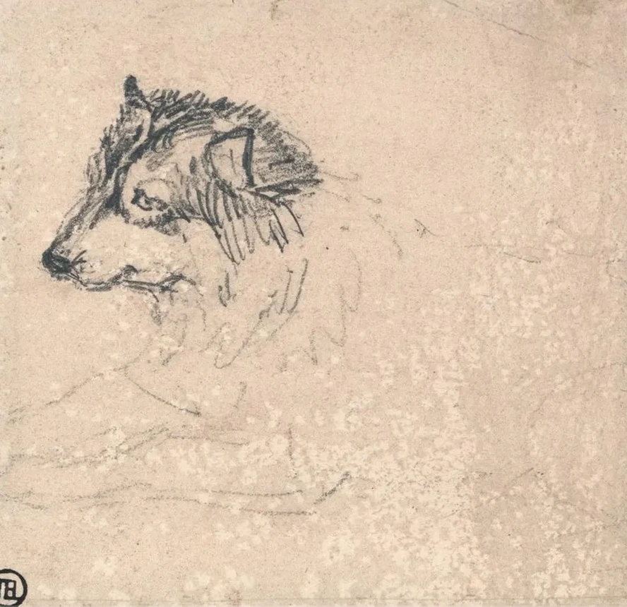 Arctic Dog, Facing Left