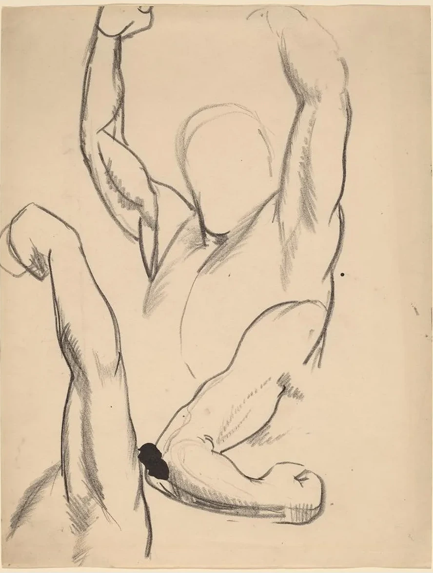 Arms of a Boxer