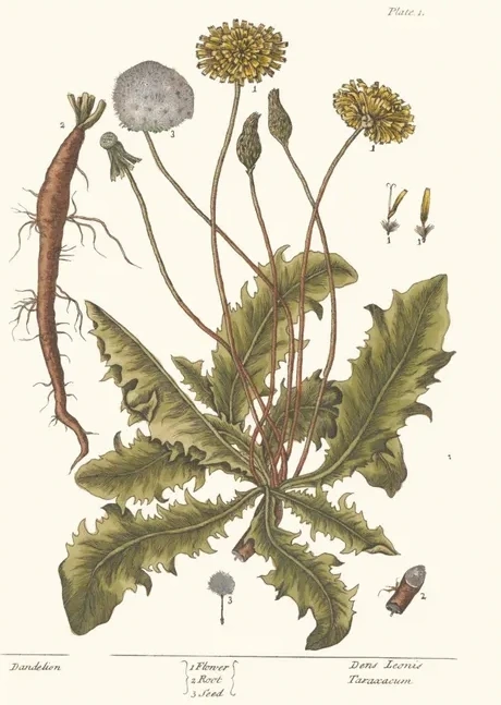 Artimuus 06
