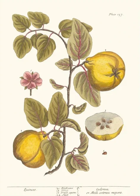 Artimuus 08