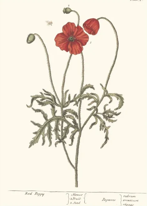 Artimuus 09