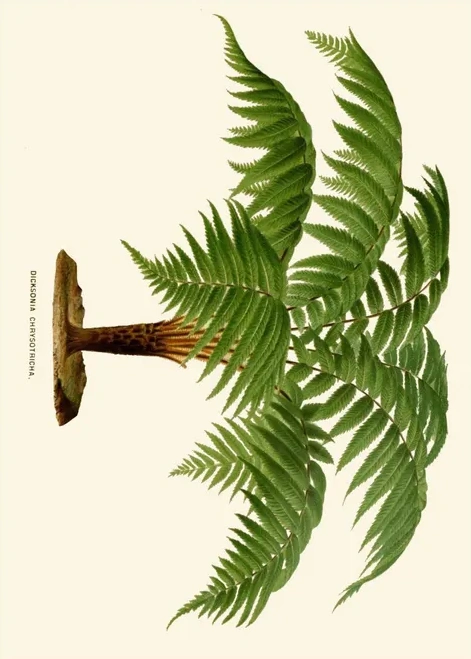 Artimuus 102