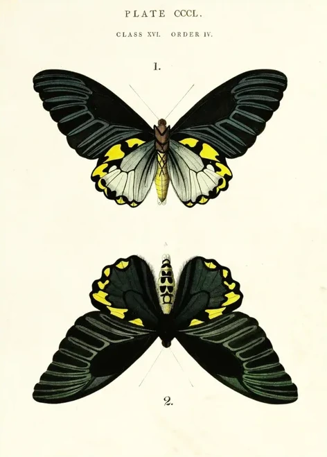 Artimuus 109