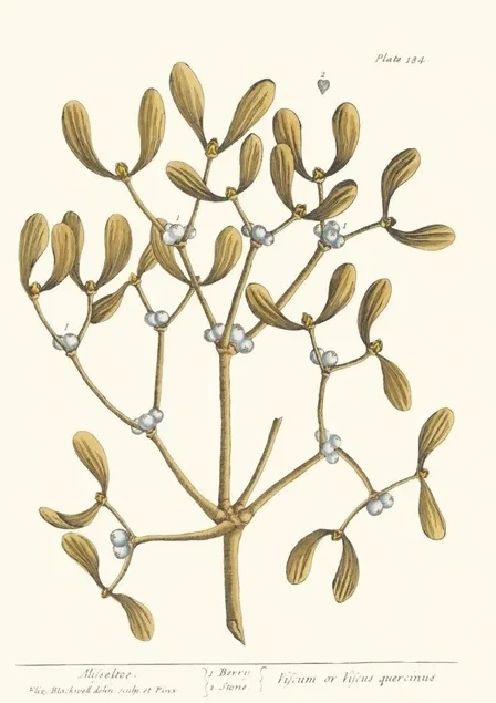 Artimuus 10