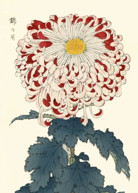 Artimuus 110